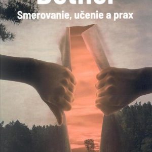 Bethel - smerovanie, učenie a prax
