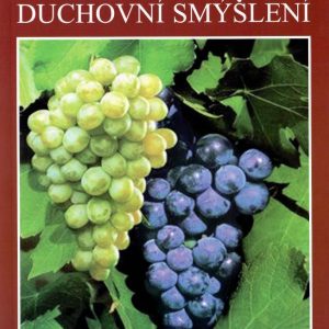 Duchovní smýšlení