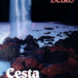 Cesta po kameňoch